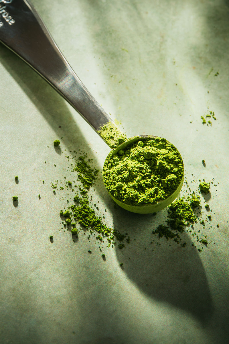Matcha Spoon