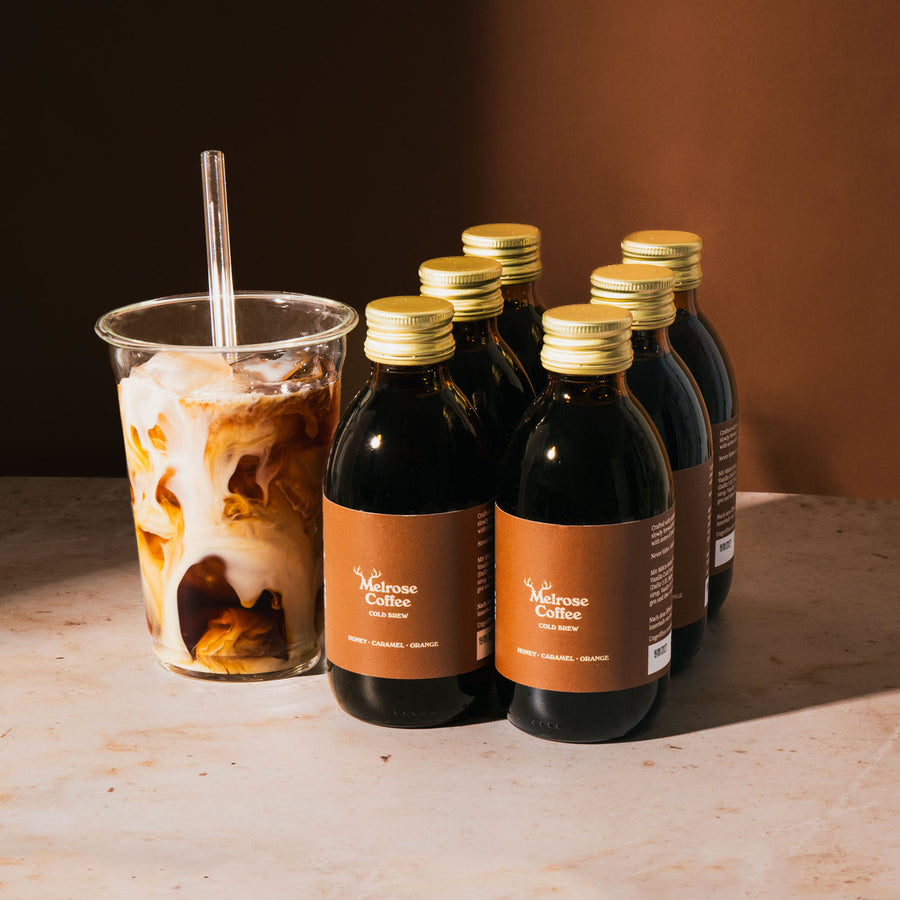 Cold Brew Ready-to-Drink 6er-Pack