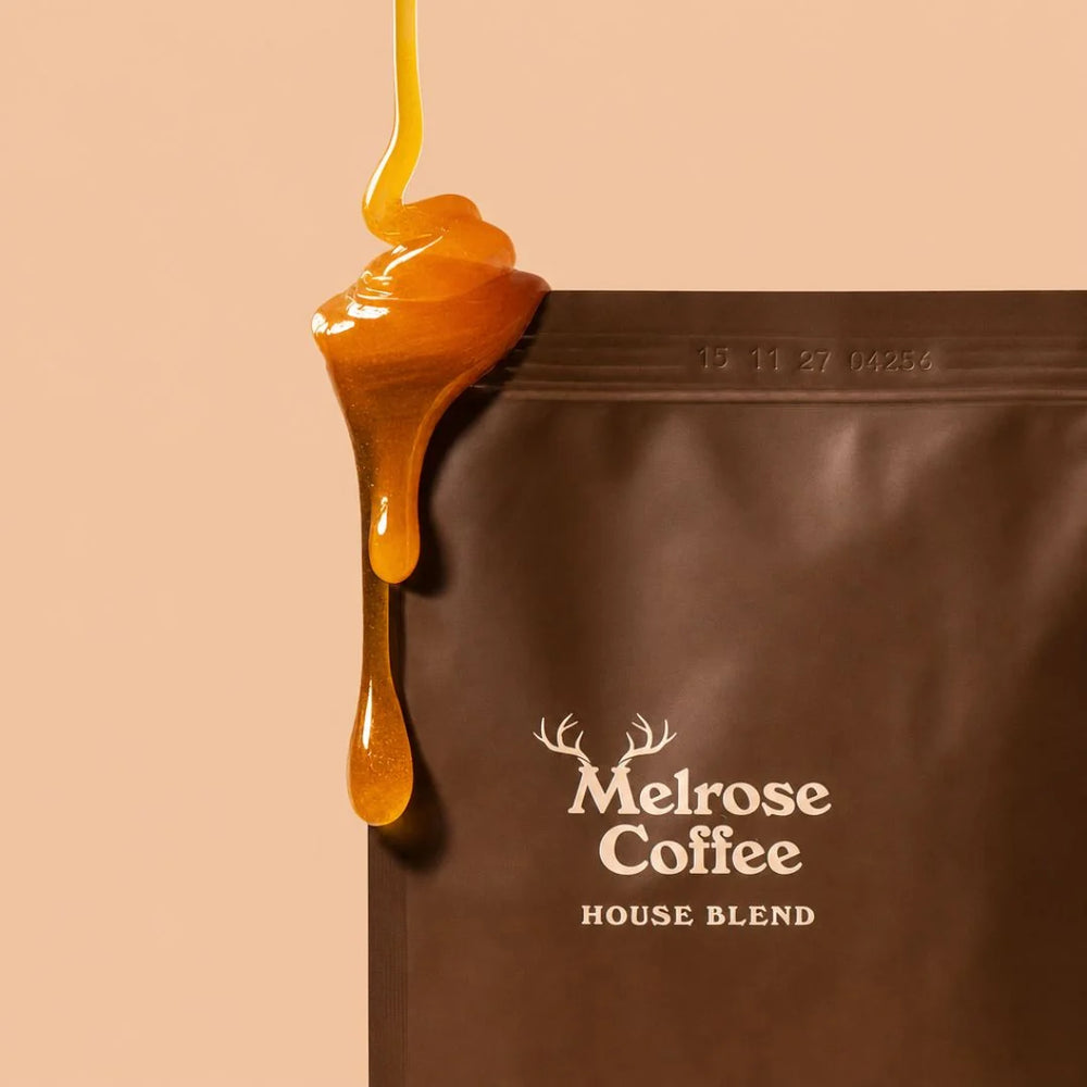 Chestnut, Dark Chocolate &