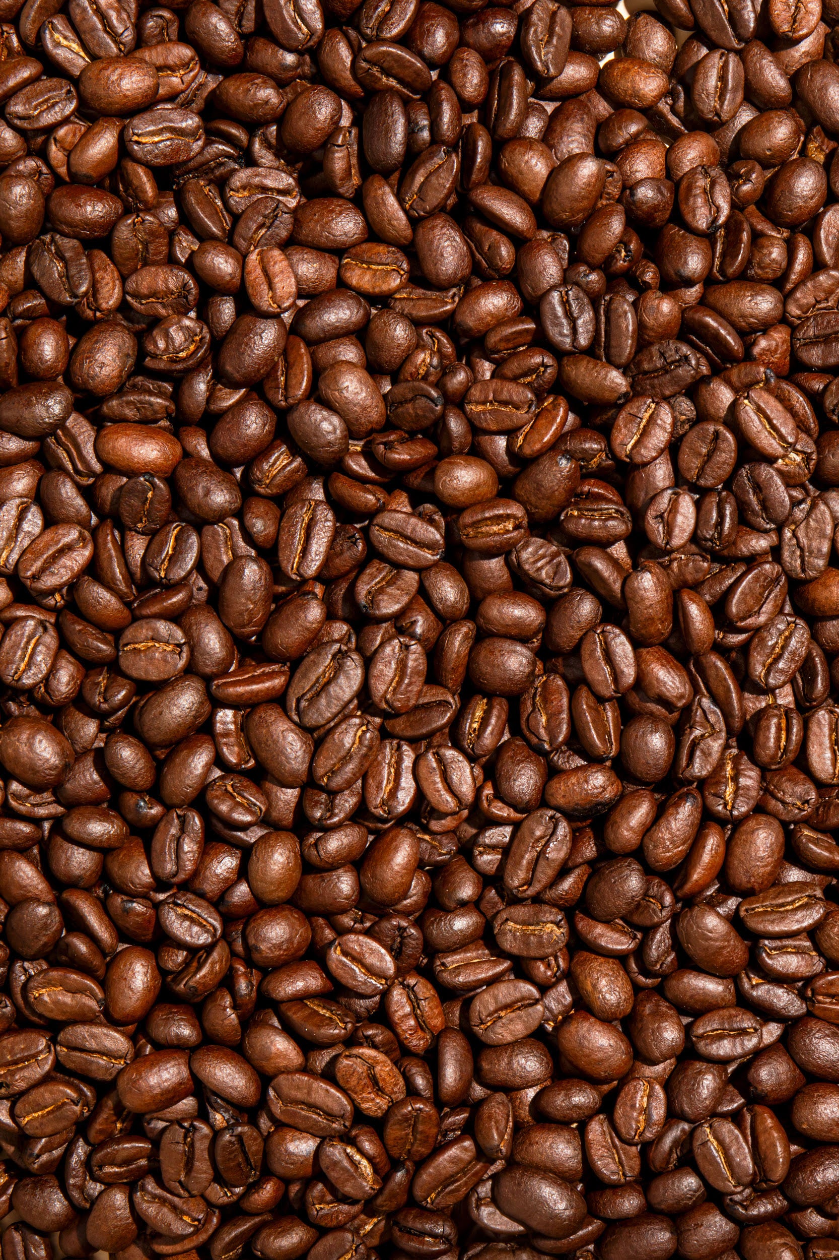 House Blend Espressobohnen